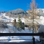 فندق Montana 4*